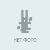Борщ СТОЛИЧНЫЙ ОТЛИЧНЫЙ 